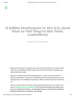 11 Edible Mushrooms in the U.S. (And How to Tell They're Not Toxic