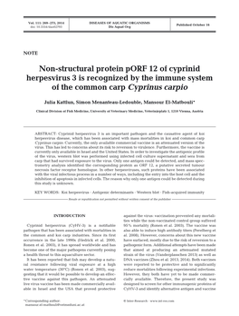 Non-Structural Protein Porf 12 of Cyprinid Herpesvirus 3 Is Recognized by the Immune System of the Common Carp Cyprinus Carpio