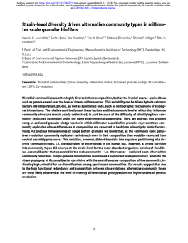 Strain-Level Diversity Drives Alternative Community Types in Millimeter Scale