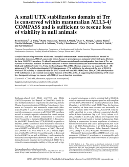 A Small UTX Stabilization Domain of Trr Is Conserved Within Mammalian MLL3-4/COMPASS and Is Sufficient to Rescue Loss of Viability in Null Animals