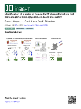 Identification of a Series of Hair-Cell MET Channel Blockers That Protect Against Aminoglycoside-Induced Ototoxicity