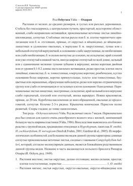 Род Ochyraea Váňa — Охырая Растения От Мелких До Средних Размеров, В Густых Или Рыхлых Дерновинках