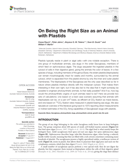 On Being the Right Size As an Animal with Plastids
