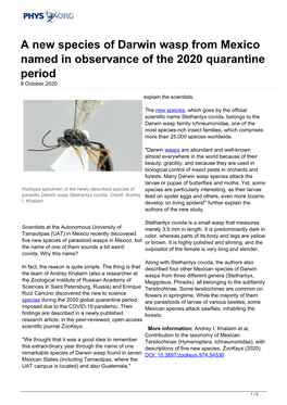 A New Species of Darwin Wasp from Mexico Named in Observance of the 2020 Quarantine Period 8 October 2020