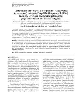 Updated Morphological Description of Asteroporpa (Asteroporpa)Annulata(Euryalida: Gorgonocephalidae) from the Brazilian Coast, W