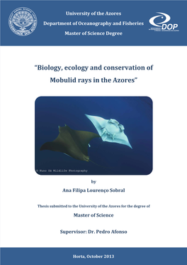 Biology, Ecology and Conservation of Mobulid Rays in the Azores”