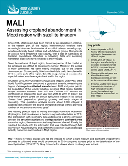 Assessing Cropland Abandonment in Mopti Region with Satellite Imagery