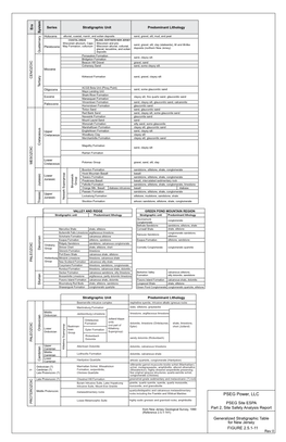 PSEG POWER, LLC (Site Safety Analysis Report), Rev. 0