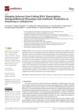 Interplay Between Non-Coding RNA Transcription, Stringent/Relaxed Phenotype and Antibiotic Production in Streptomyces Ambofaciens