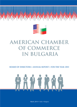 Amcham Annual Report 2013