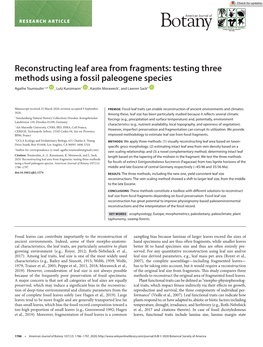 Reconstructing Leaf Area from Fragments: Testing Three Methods Using a Fossil Paleogene Species