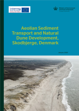 Aeolian Sediment Transport and Natural Dune Development, Skodbjerge, Denmark