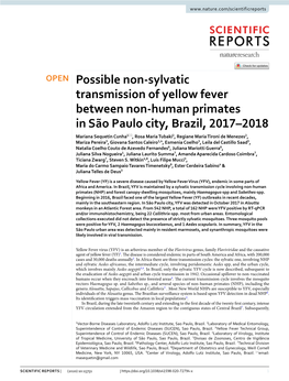 Possible Non-Sylvatic Transmission of Yellow Fever Between Non-Human Primates in São Paulo City, Brazil, 2017–2018
