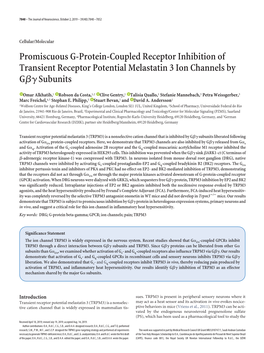 Promiscuous G-Protein-Coupled Receptor Inhibition of Transient Receptor Potential Melastatin 3 Ion Channels by Gβγ Subunits