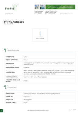 PHF16 Antibody Cat