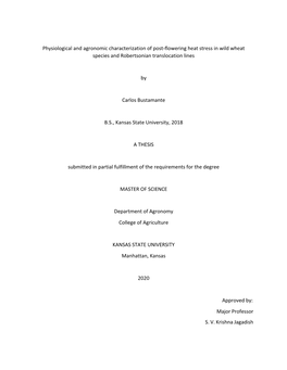 Physiological and Agronomic Characterization of Post-Flowering Heat Stress in Wild Wheat Species and Robertsonian Translocation Lines