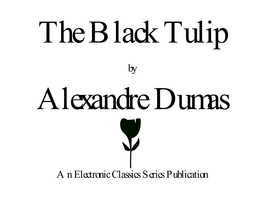 The Black Tulip