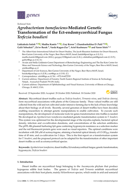 Agrobacterium Tumefaciens-Mediated Genetic Transformation of the Ect-Endomycorrhizal Fungus Terfezia Boudieri
