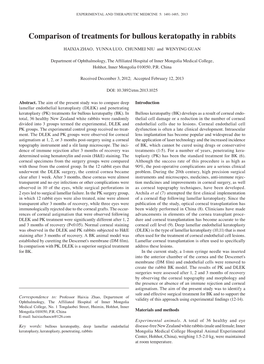 Comparison of Treatments for Bullous Keratopathy in Rabbits