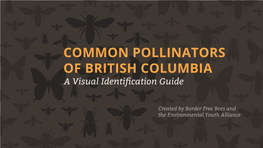 Common Pollinators of British Columbia – a Visual Identification