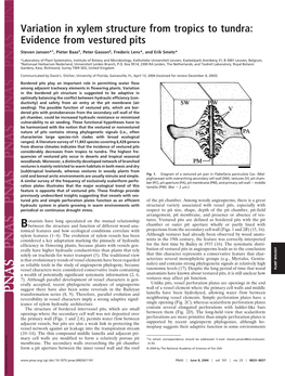 Variation in Xylem Structure from Tropics to Tundra: Evidence from Vestured Pits