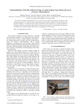 Nanomorphology of the Blue Iridescent Wings of a Giant Tropical Wasp Megascolia Procer Javanensis (Hymenoptera)