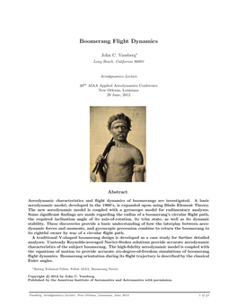 Boomerang Flight Dynamics