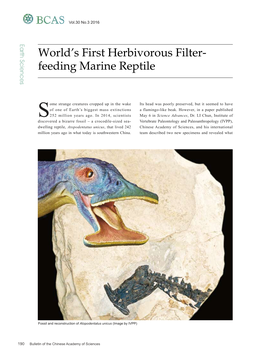 190 World's First Herbivorous Filter-Feeding Marine Reptile