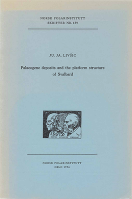 Palaeogene Deposits and the Platform Structure of Svalbard