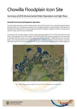 Chowilla Floodplain Icon Site