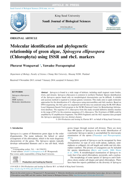 Molecular Identification and Phylogenetic Relationship of Green Algae, Spirogyra Ellipsospora (Chlorophyta) Using ISSR and Rbcl