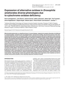 Expression of Alternative Oxidase in Drosophila Ameliorates Diverse Phenotypes Due to Cytochrome Oxidase Deficiency