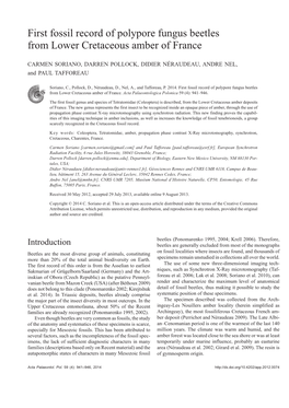 First Fossil Record of Polypore Fungus Beetles from Lower Cretaceous Amber of France