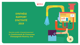 Assainissement Rapport Annuel Délégataire SYNTHESE