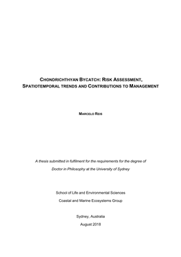 Chondrichthyan Bycatch: Risk Assessment, Spatiotemporal Trends and Contributions to Management