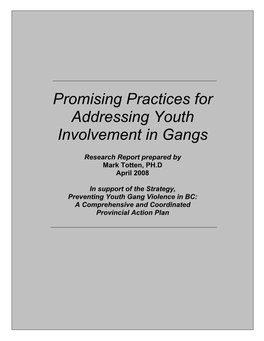 Promising Practices for Addressing Youth Involvement in Gangs