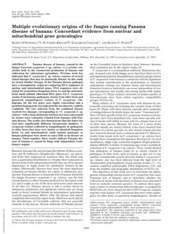 Multiple Evolutionary Origins of the Fungus Causing Panama Disease of Banana: Concordant Evidence from Nuclear and Mitochondrial Gene Genealogies