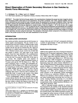 Direct Observation of Protein Secondary Structure in Gas Vesicles by Atomic Force Microscopy