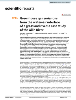 Greenhouse Gas Emissions from the Water–Air Interface of A