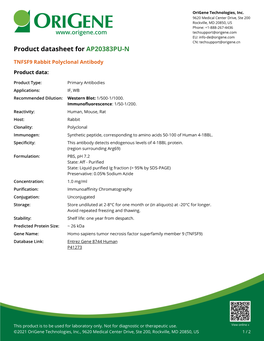 TNFSF9 Rabbit Polyclonal Antibody – AP20383PU-N | Origene