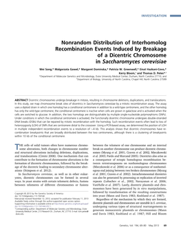 Nonrandom Distribution of Interhomolog Recombination Events Induced by Breakage of a Dicentric Chromosome in Saccharomyces Cerevisiae