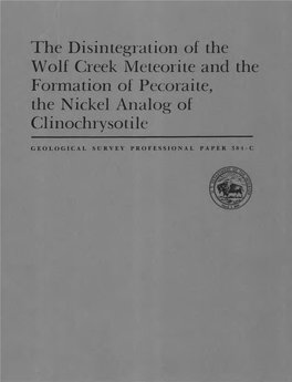The Disintegration of the Wolf Creek Meteorite and the Formation of Pecoraite, the Nickel Analog of Clinochrysotile