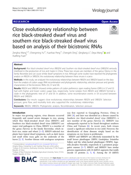 Close Evolutionary Relationship Between Rice Black-Streaked Dwarf