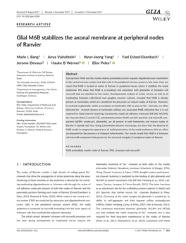 Glial M6B Stabilizes the Axonal Membrane at Peripheral Nodes of Ranvier