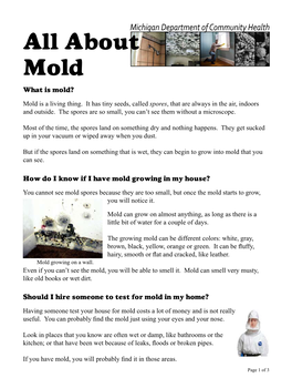 All About Mold What Is Mold?