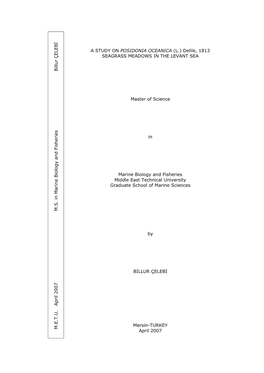 A STUDY on POSIDONIA OCEANICA (L.) Delile, 1813 SEAGRASS MEADOWS in the LEVANT SEA