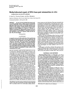 Methyl-Directed Repair of DNA Base-Pair Mismatches in Vitro