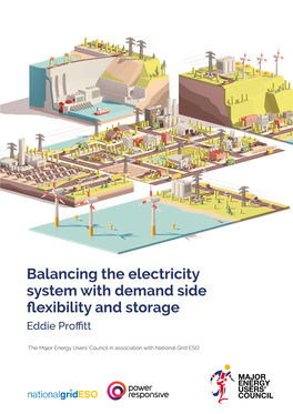 Balancing the Electricity System with Demand Side Flexibility and Storage Eddie Proffitt