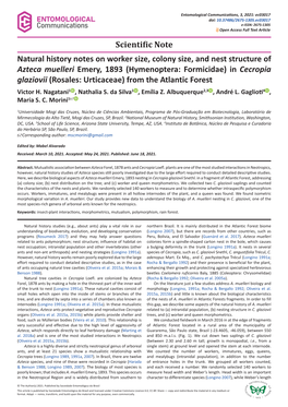 (Hymenoptera: Formicidae) in Cecropia Glaziovii (Rosales: Urticaceae) from the Atlantic Forest Victor H