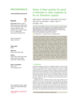 Division of Labour Promotes the Spread of Information in Colony Emigrations by the Ant Temnothorax Rugatulus